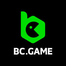 Comprehensive Support Guide for BC.Game Users Comprehensive Support Guide for BC.Game Users